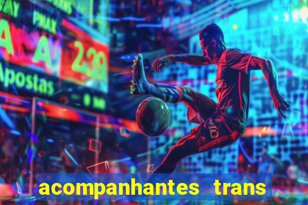 acompanhantes trans baixada fluminense